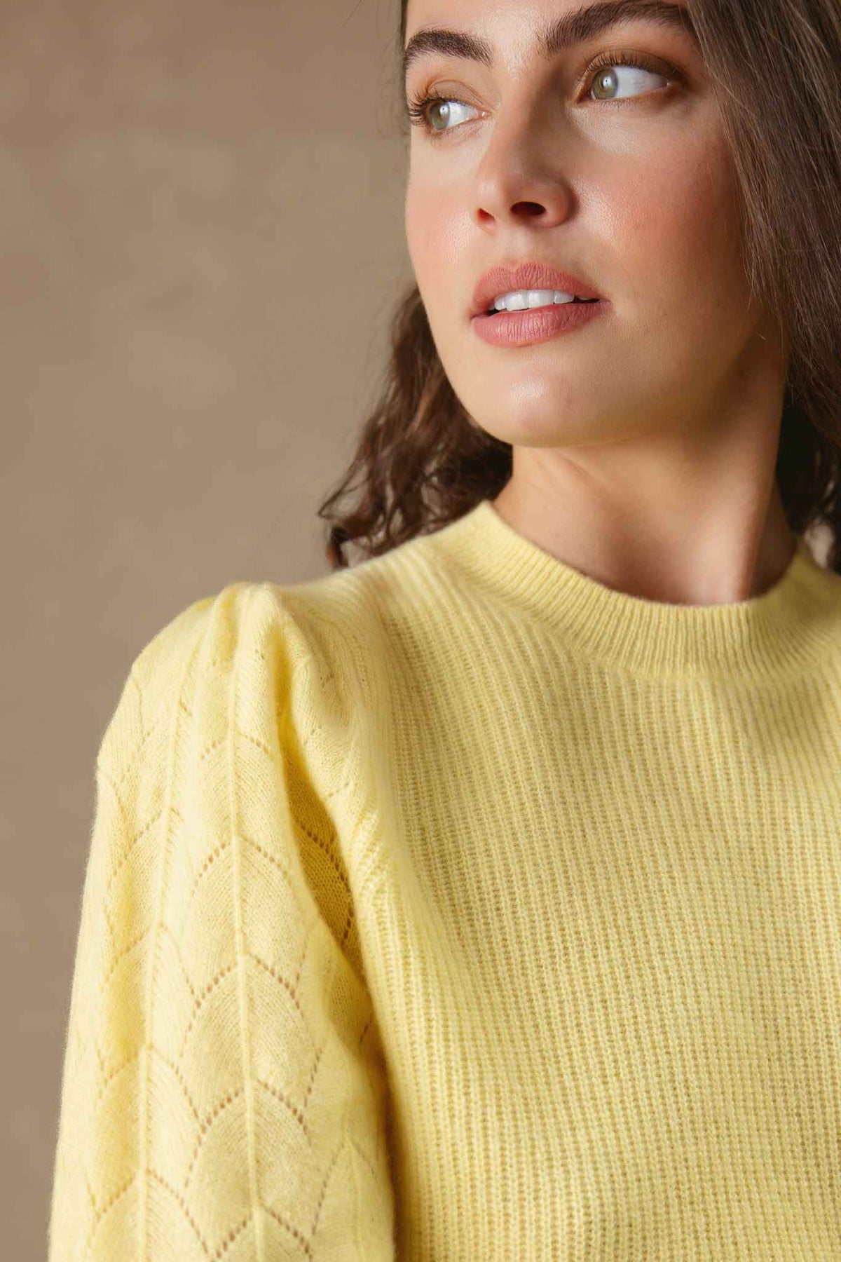 Hinnen Cashmere Crewneck with Pointelle on Sleeves