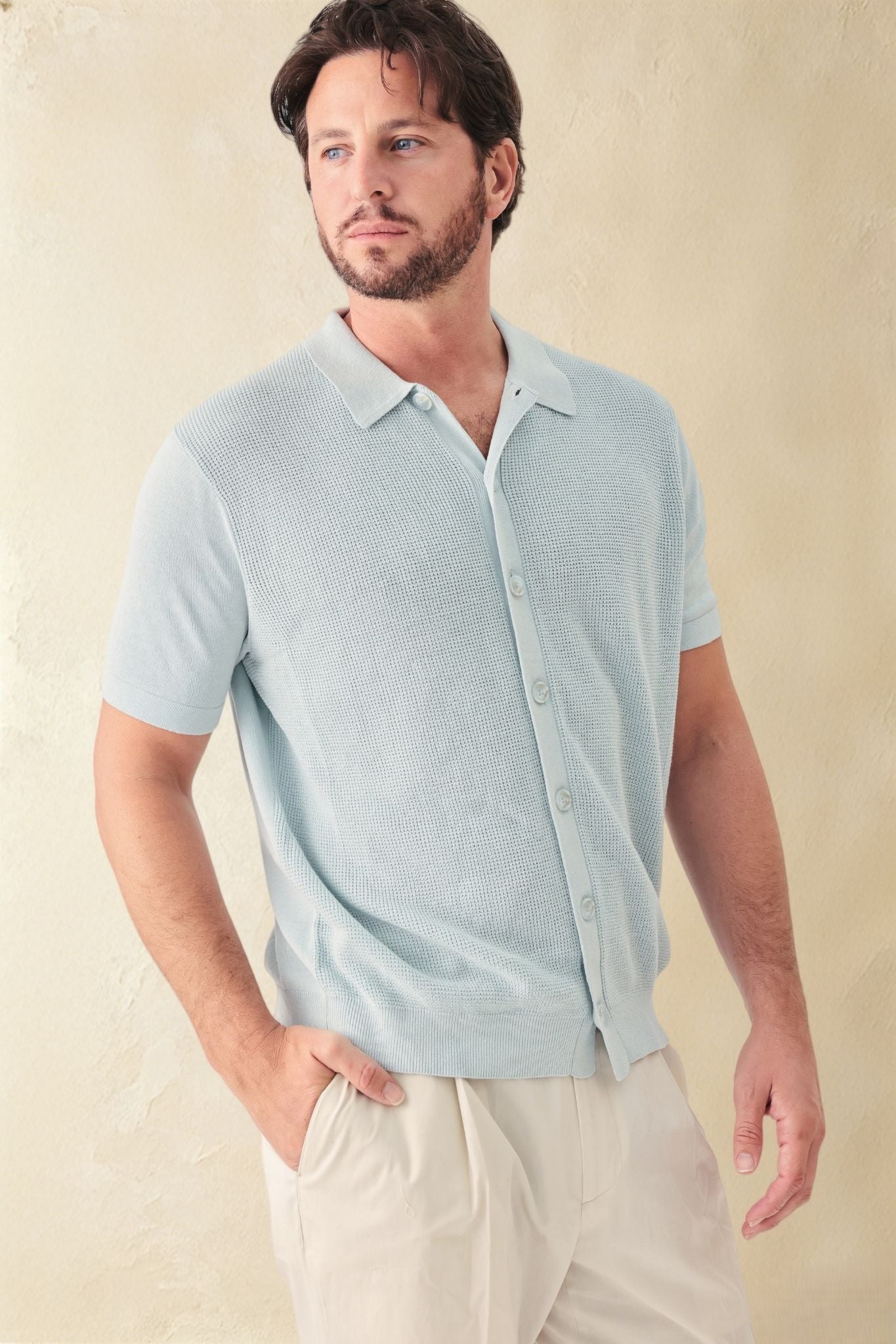 Pietro Silk Linen Blend Short Sleeve Collar Button UP