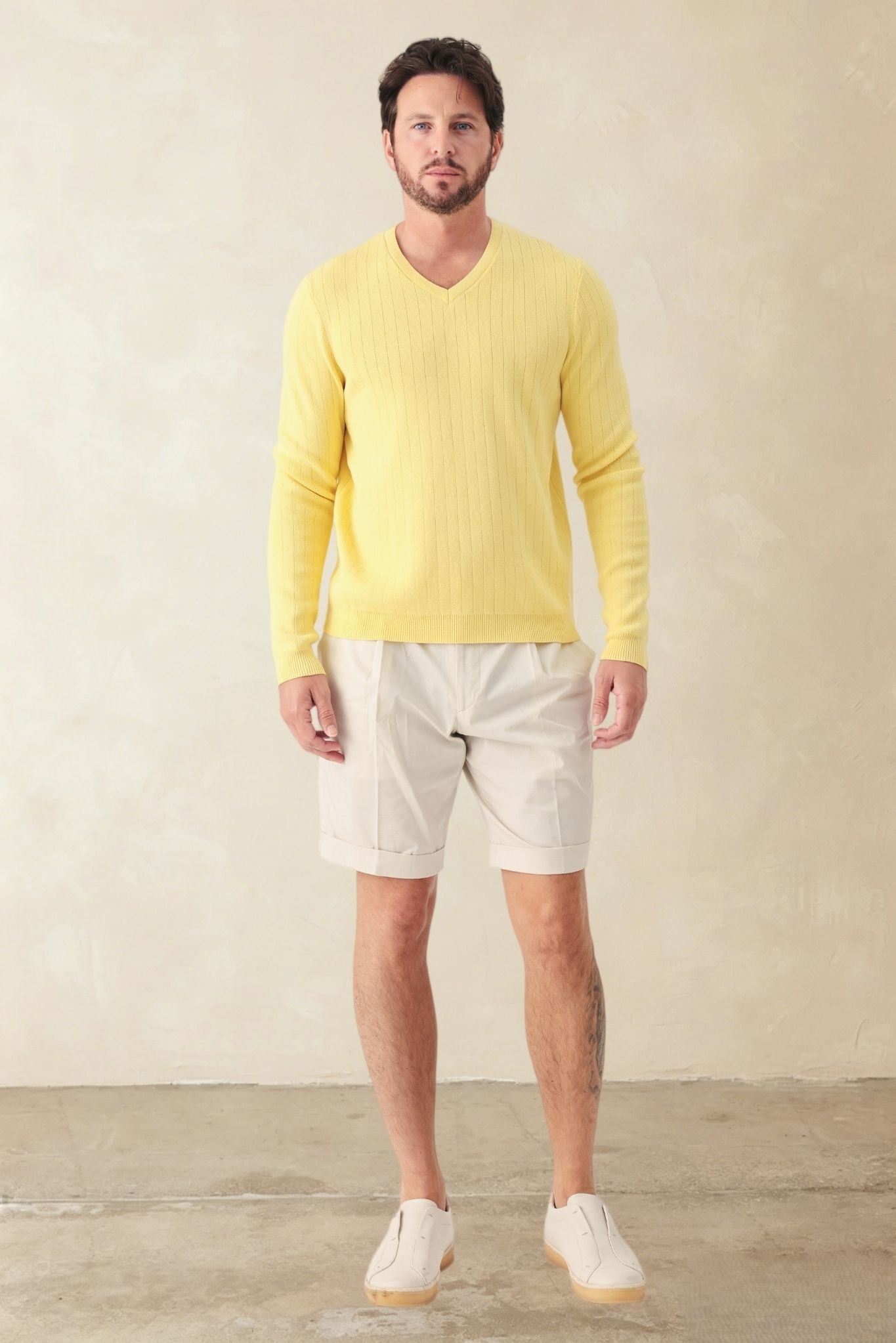 Titus Men's Cotton V Neck Sweater
