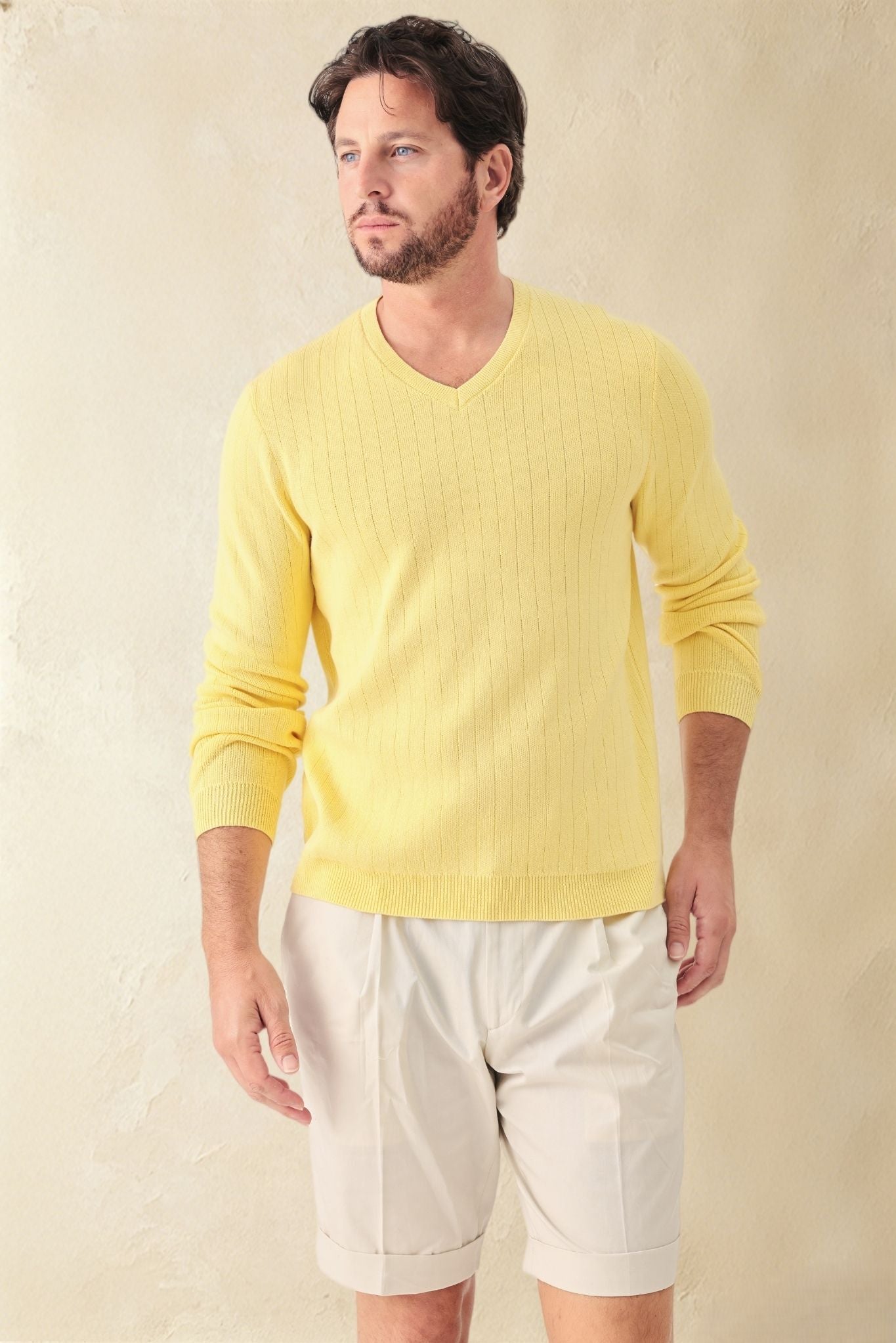 Titus Men's Cotton V Neck Sweater