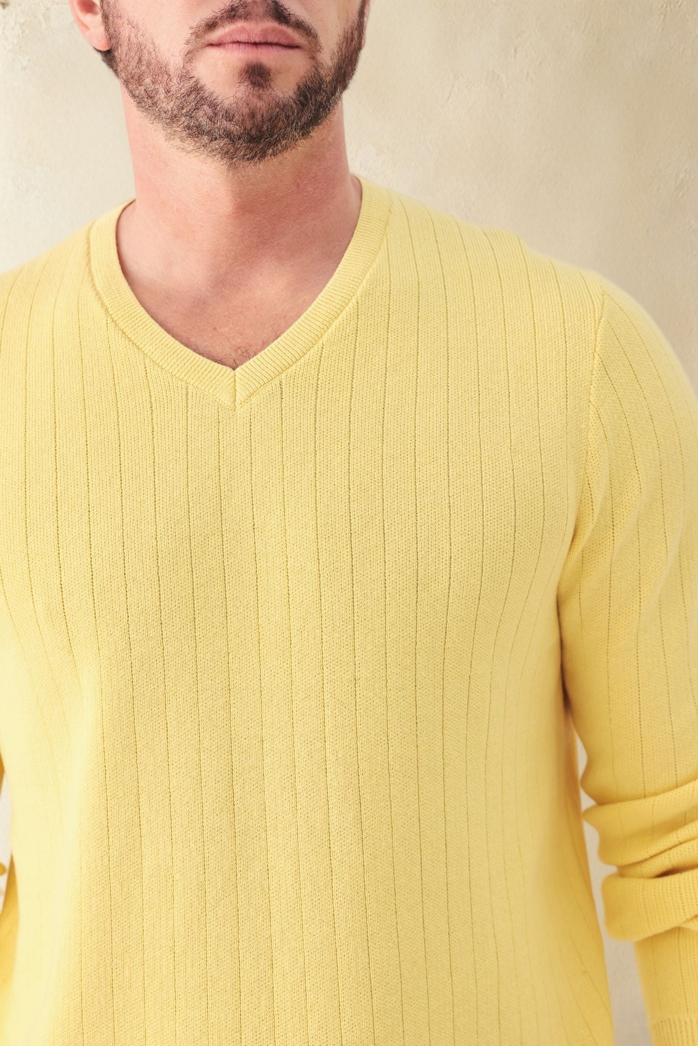 Titus Men's Cotton V Neck Sweater