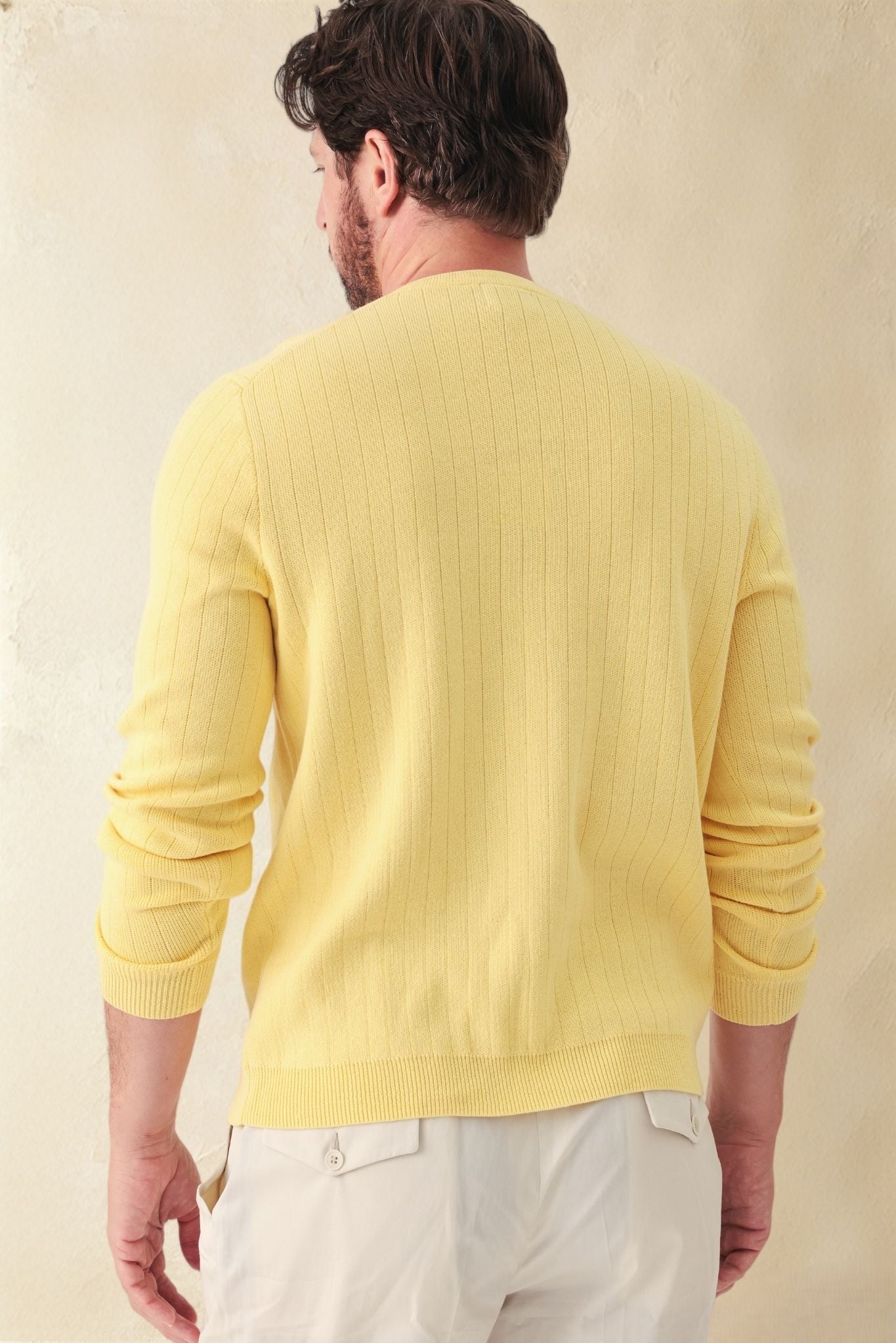Titus Men's Cotton V Neck Sweater