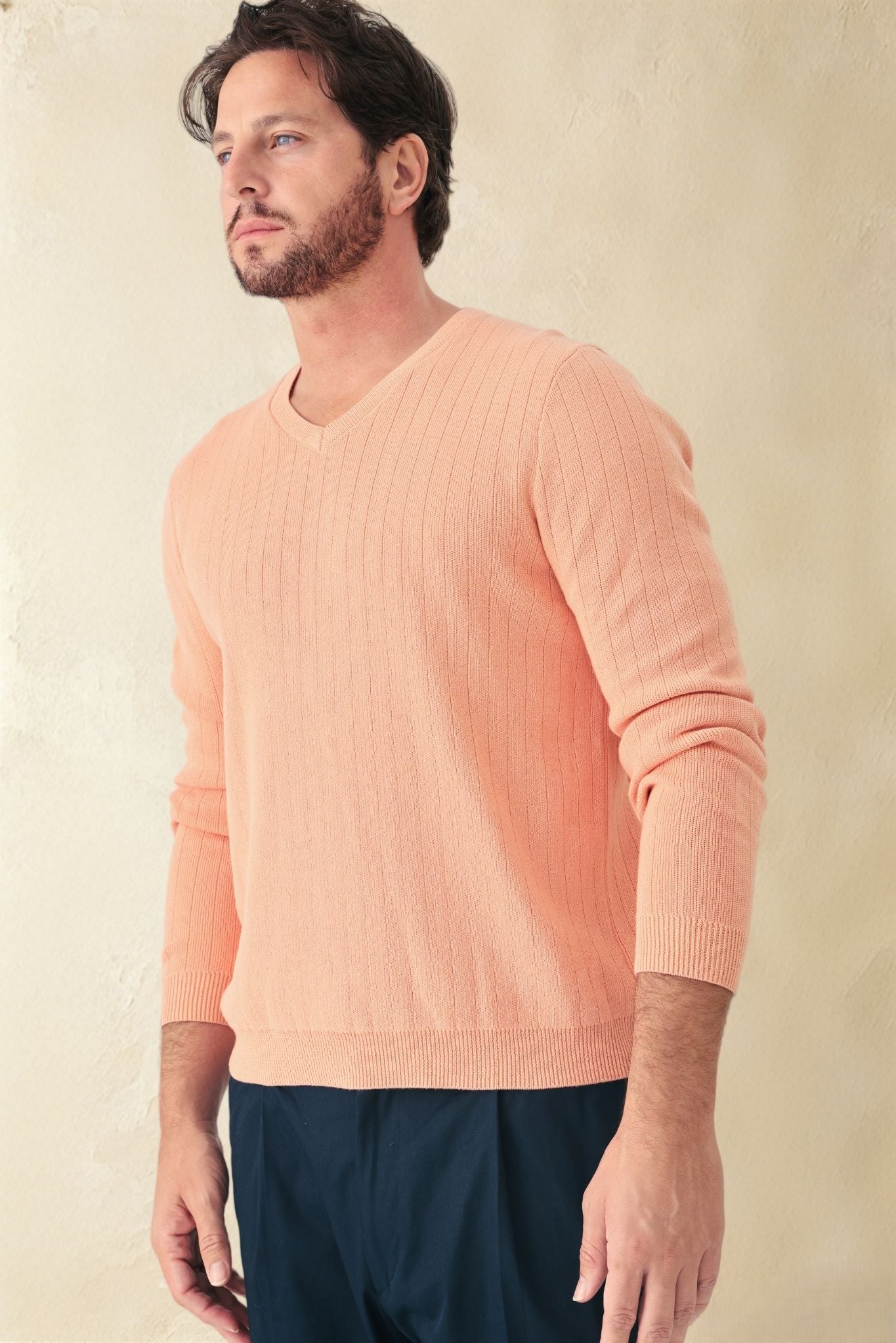 Titus Men's Cotton V Neck Sweater