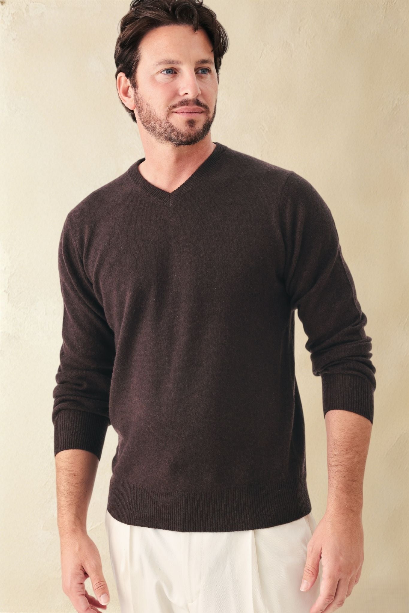 Vito Tissue Weight Cashmere V Neck