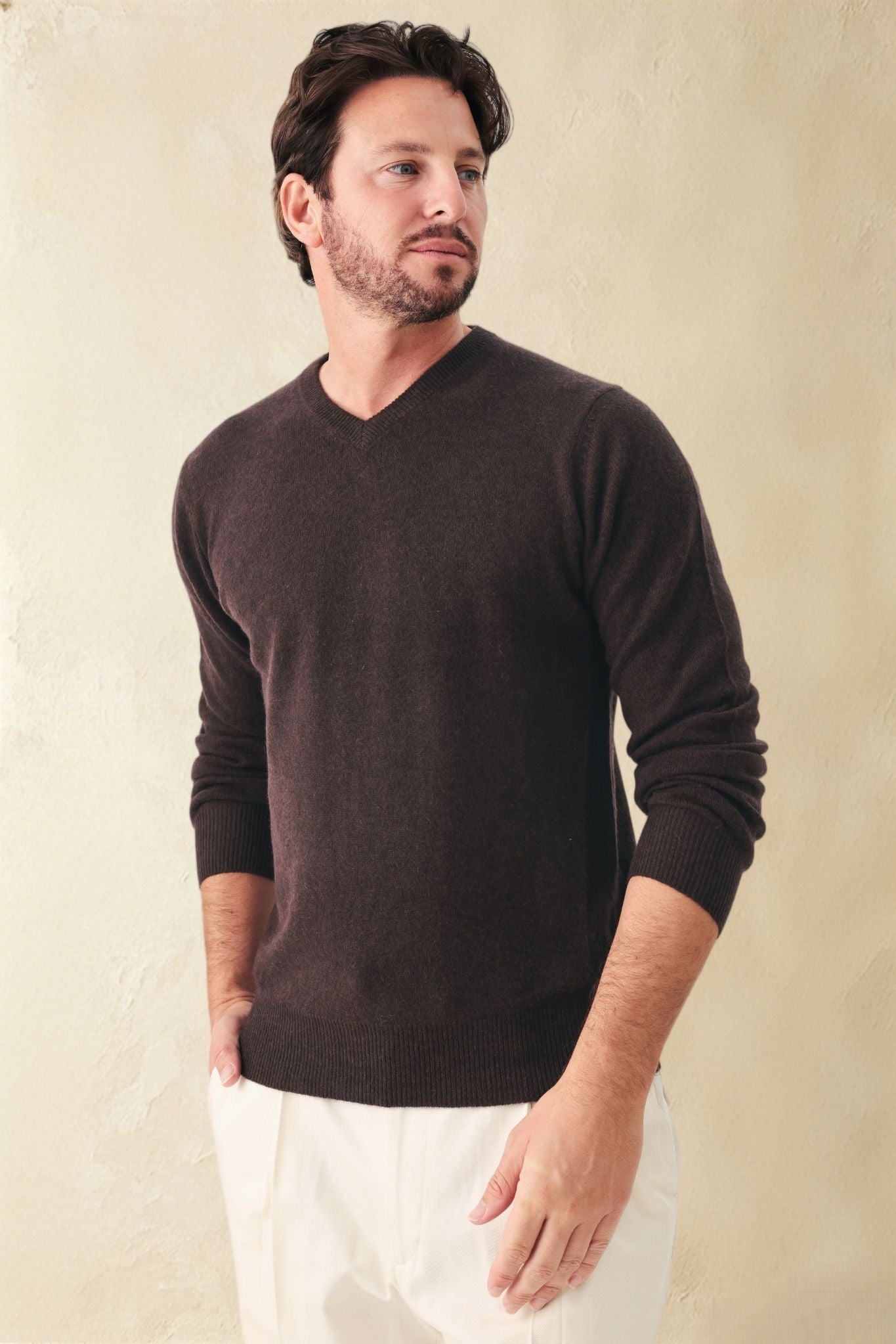 Vito Tissue Weight Cashmere V Neck