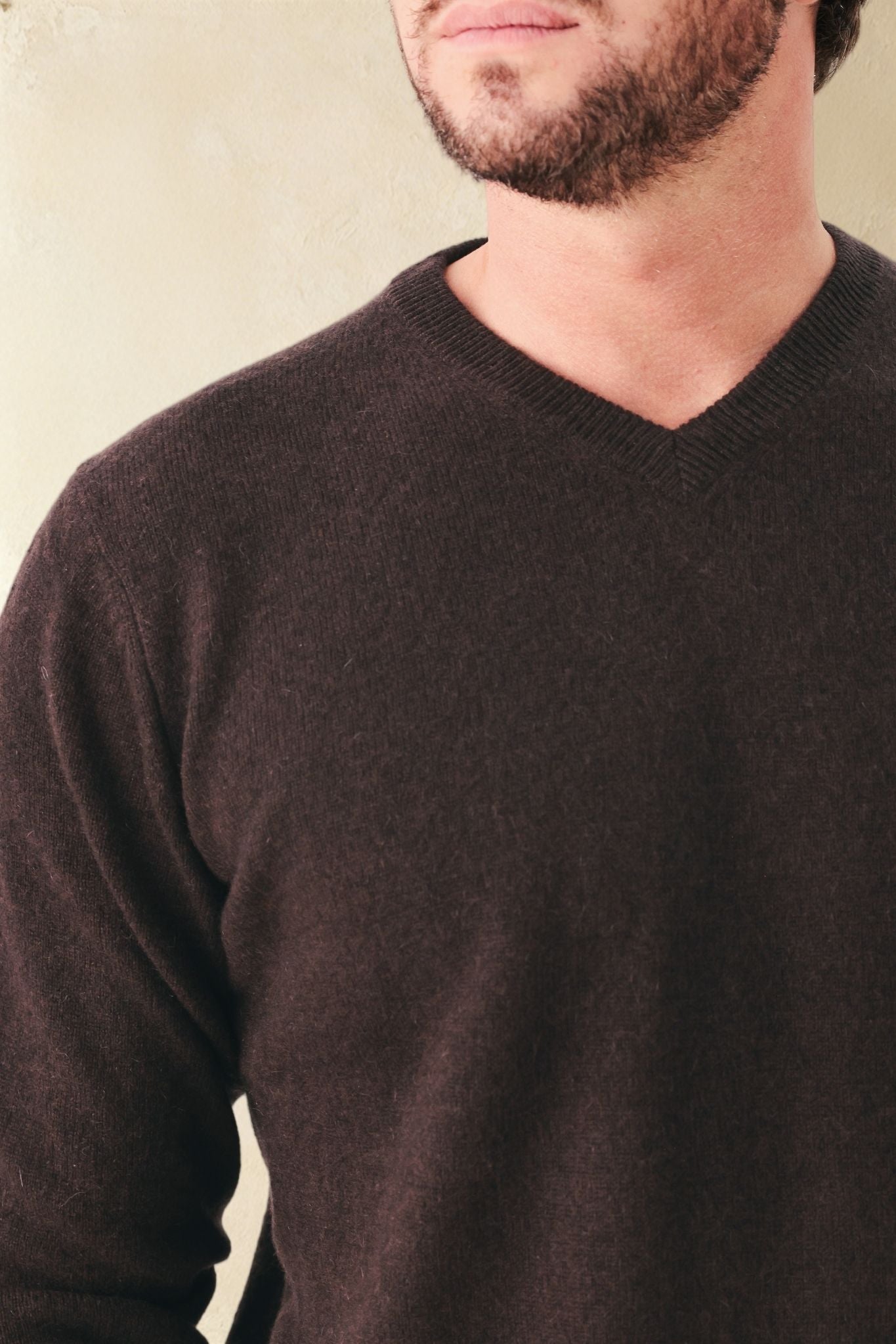 Vito Tissue Weight Cashmere V Neck