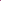 Garcelle 27 Miles BERMUDA X-SMALL