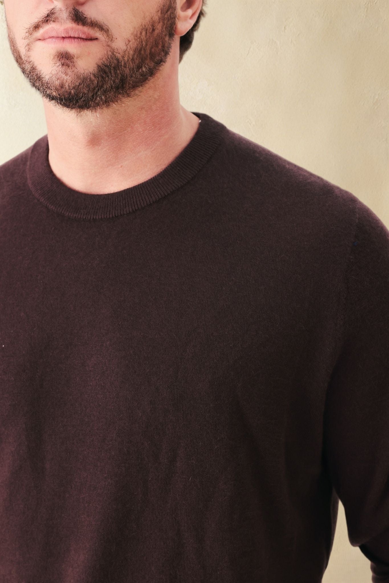 Andrea Tissue Weigth Cashmere Crewneck