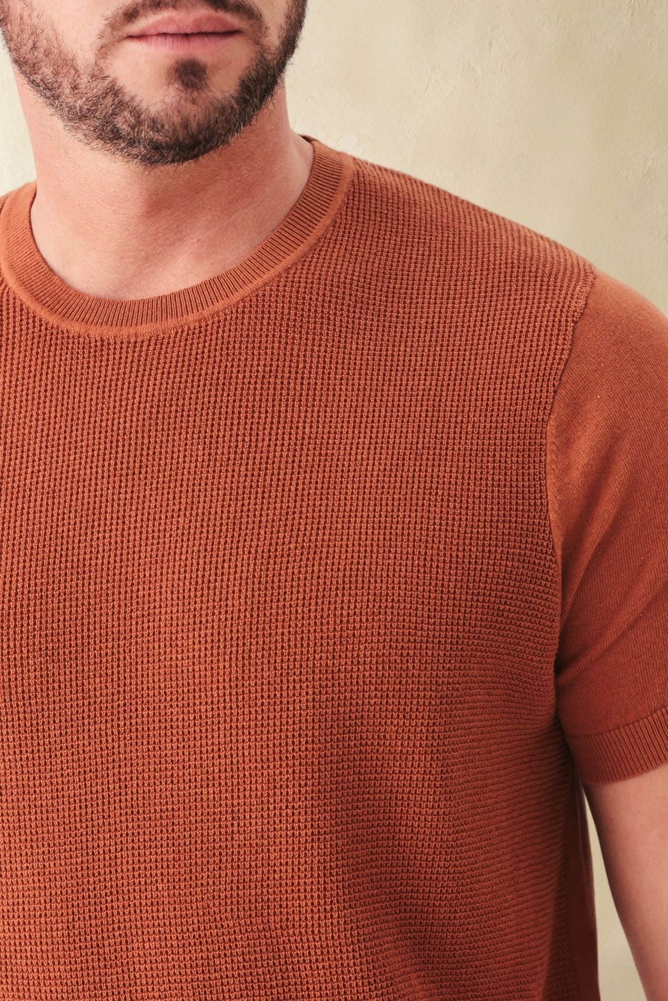 Salvo Men's Organic Cotton Short Sleeve Crew