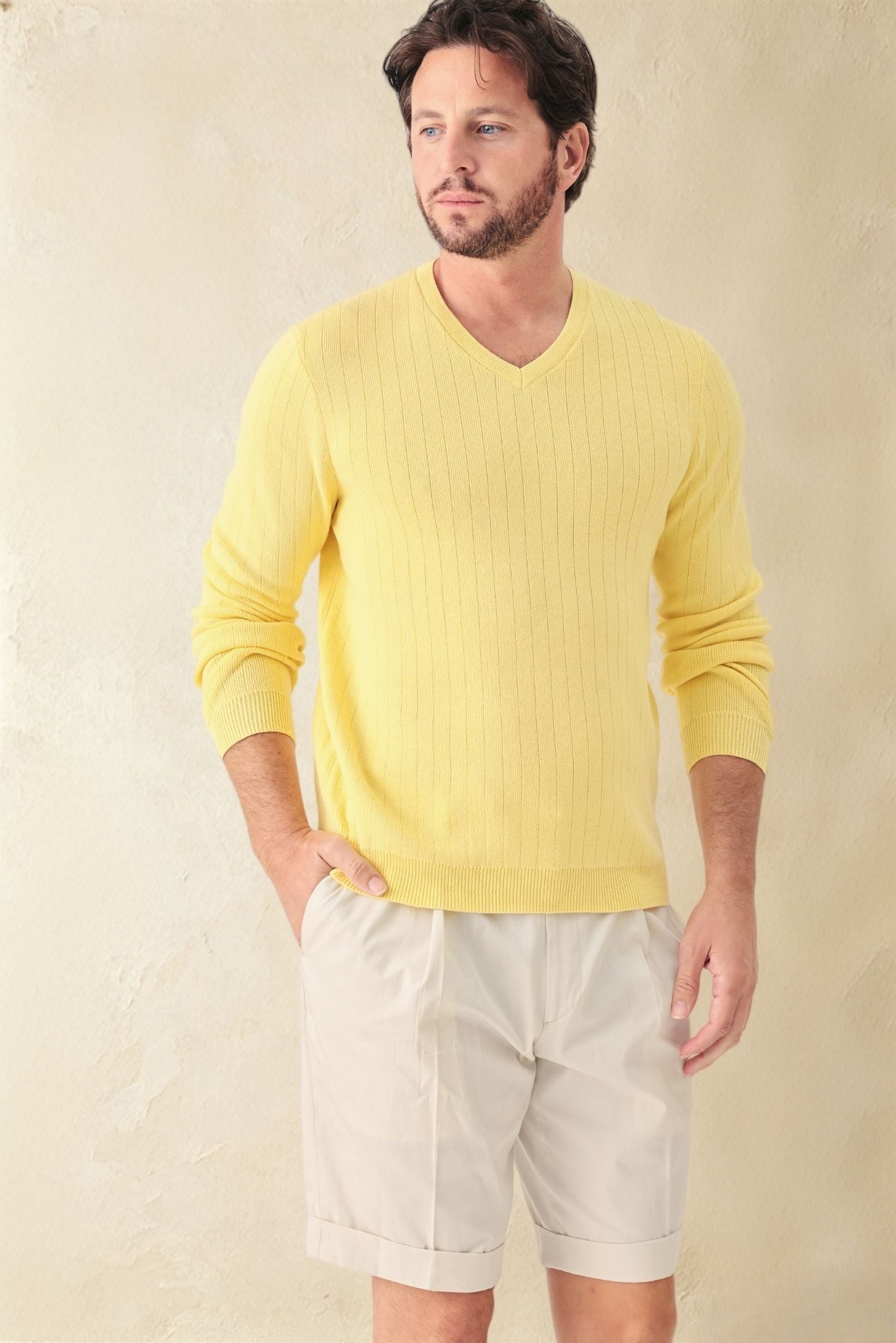 Titus Men's Cotton V Neck Sweater