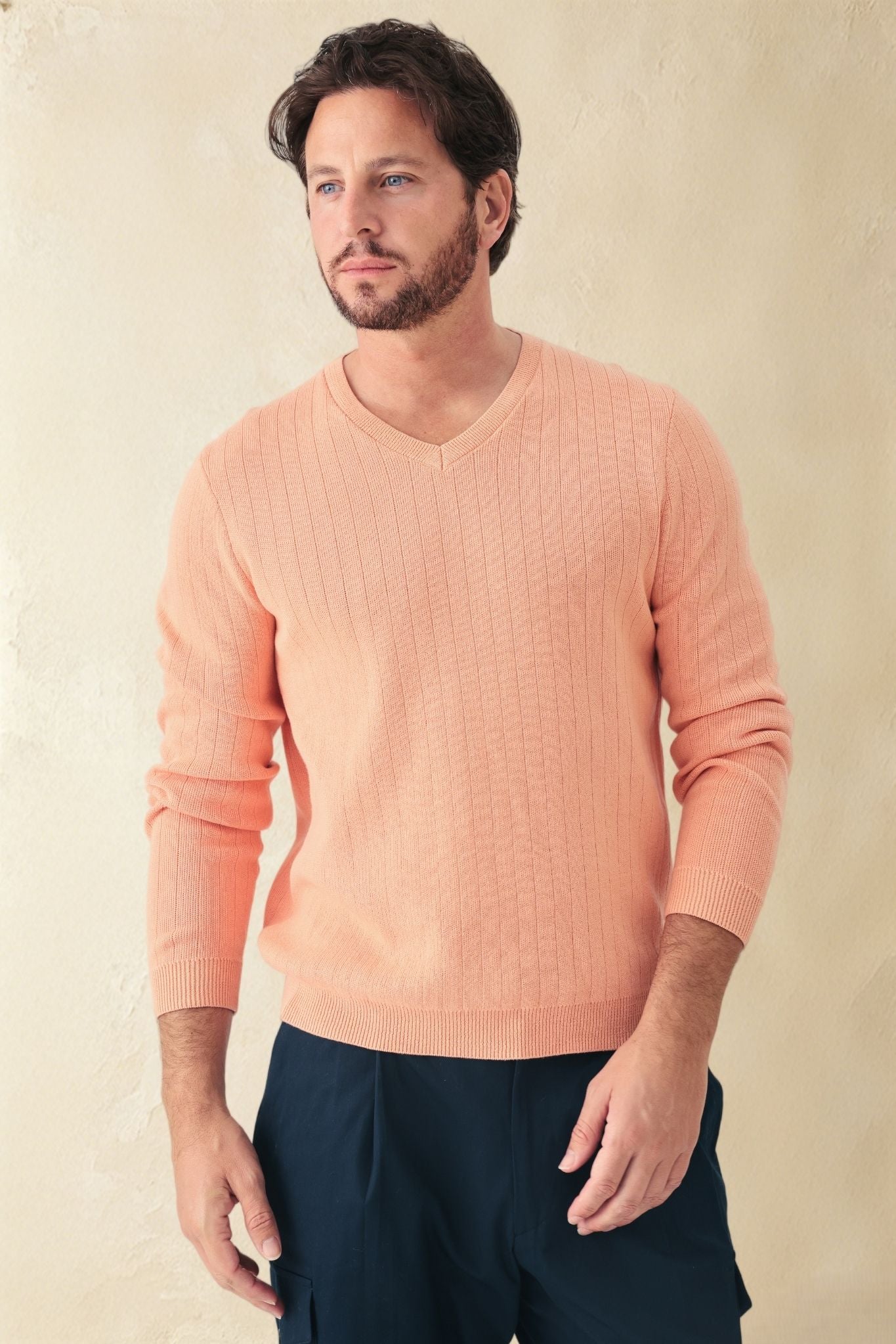 Titus Men's Cotton V Neck Sweater
