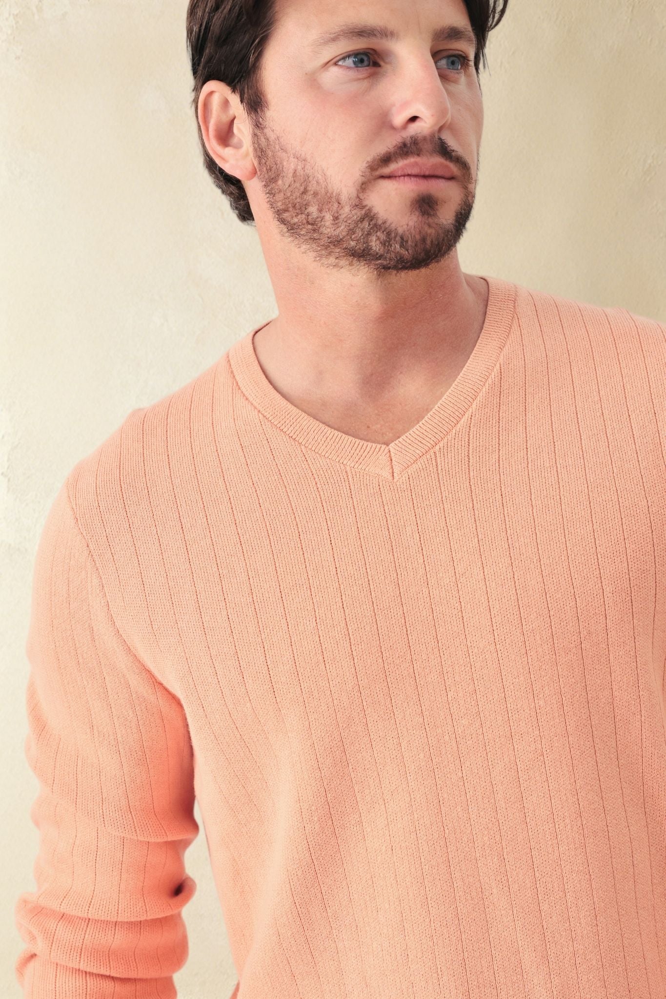 Titus Men's Cotton V Neck Sweater